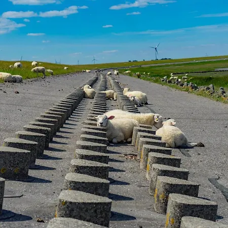 Apartment-moewennest Διαμέρισμα Dornumersiel